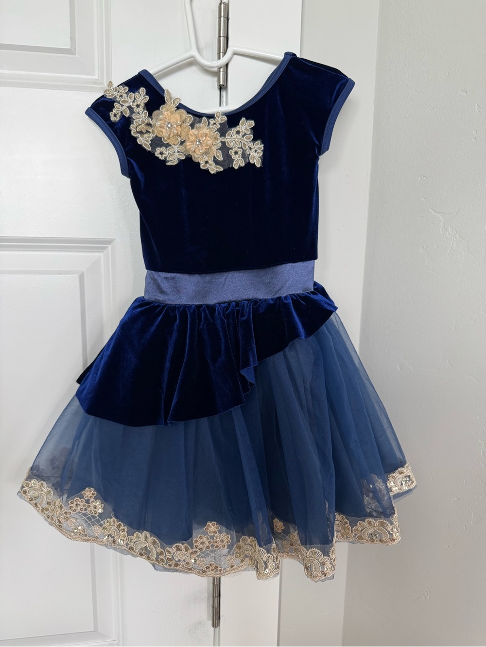 Navy Blue Velvet & Tulle Girls' Costume Dress with Gold Appliqué